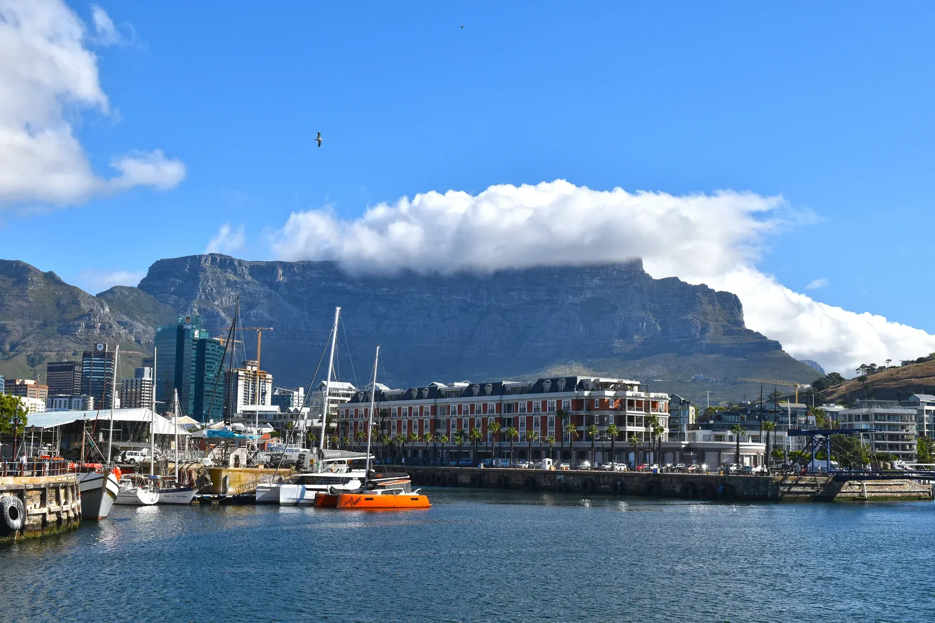 South Africa: after confirmation