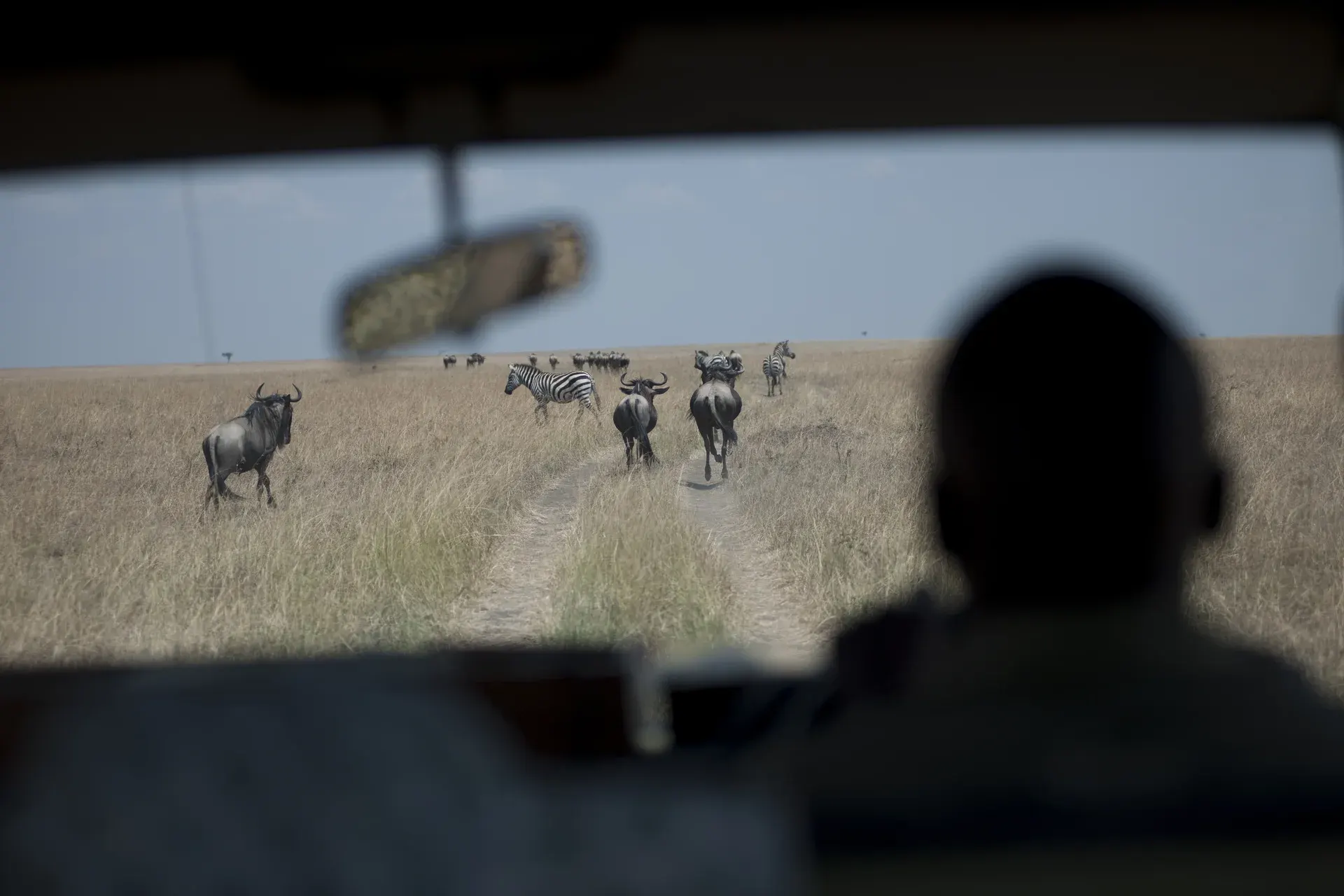 South Africa: during the journey
