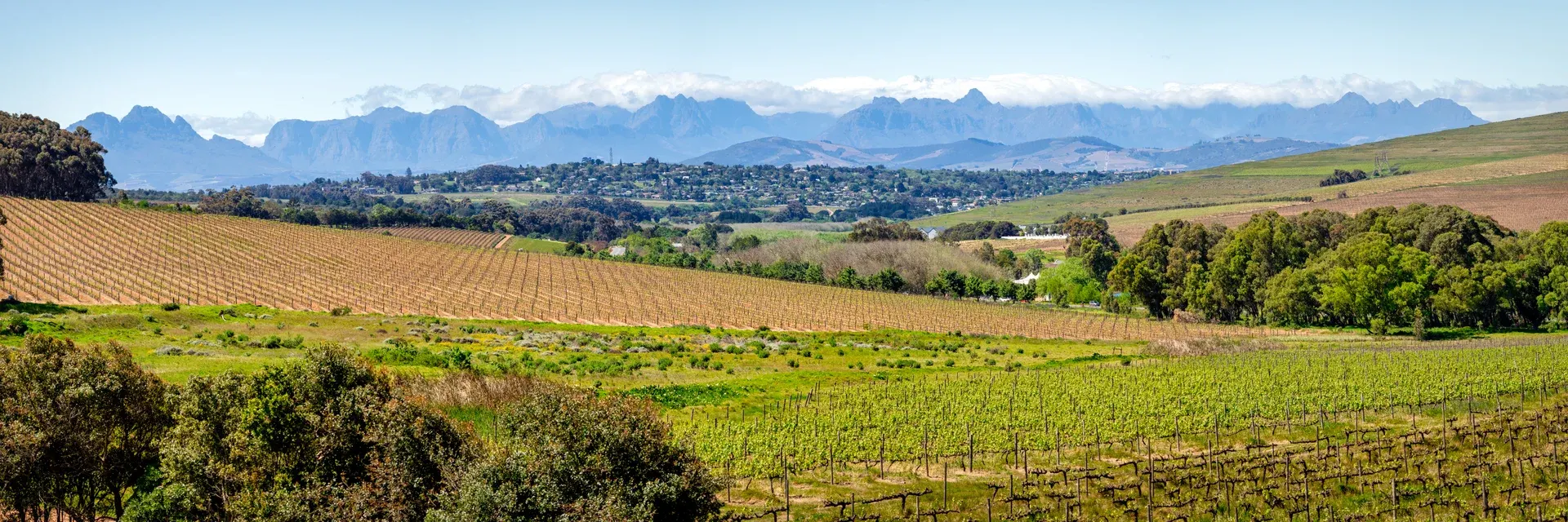 South Africa: before booking